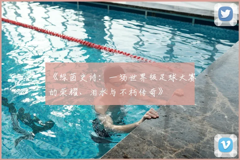 《绿茵史诗：一场世界级足球大赛的荣耀、泪水与不朽传奇》