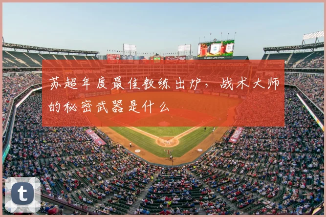 苏超年度最佳教练出炉，战术大师的秘密武器是什么