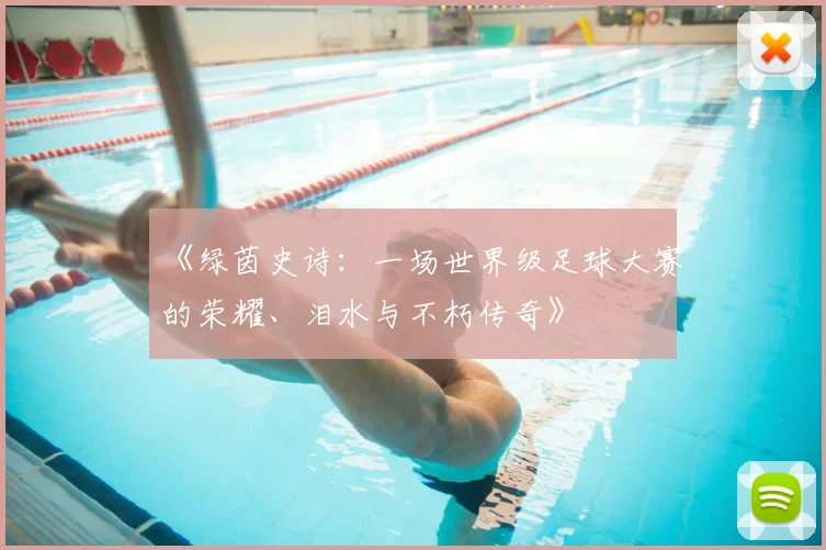 《绿茵史诗：一场世界级足球大赛的荣耀、泪水与不朽传奇》
