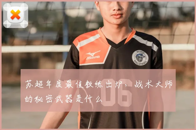 苏超年度最佳教练出炉,战术大师的秘密武器是什么